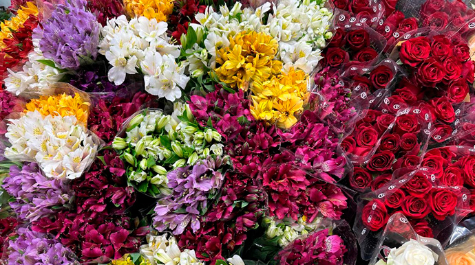 Portal AssisCity - Supermercados Avenida conta com variedade de flores para todos os gostos e bolsos - Foto: Portal AssisCity